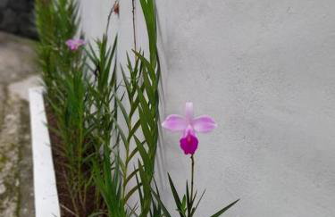 Cantinho para descansar à 200mts da praia. - Foto 29
