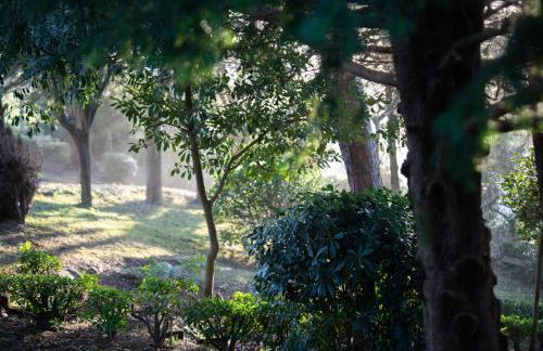 Apartamentos Garden Rock - Foto 44