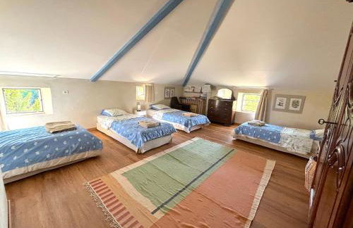 Domaine Coeur des Vignes - Foto 52