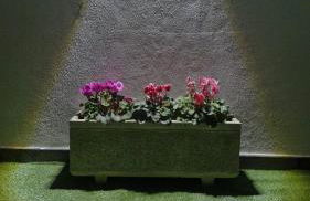 Casa Vereda Ponta Delgada, S Miguel - Photo 34