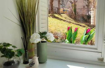 Côté Jardin la belle époque - Foto 10