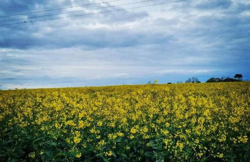 Little Haven Chalet Withernsea - Foto 11