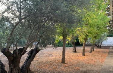 Casería San José - Foto 28