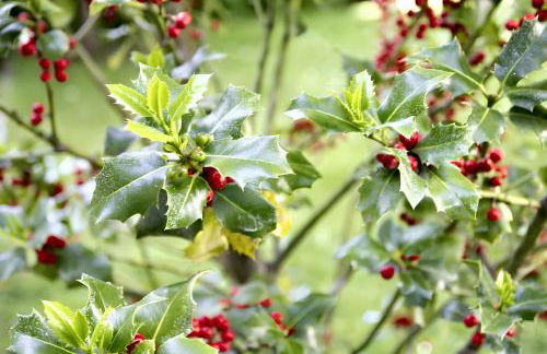 Spacious house in Abejar - Foto 35