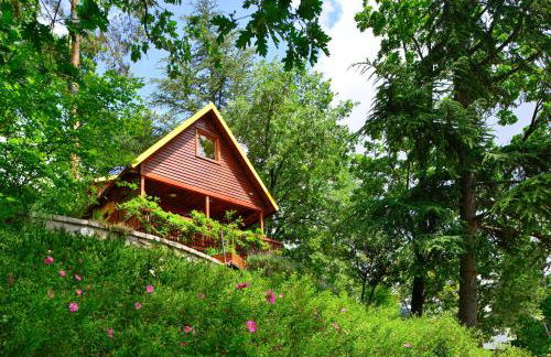 NIMA Navacerrada - Foto 20