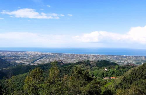 Villa Le Ginestre - Foto 37