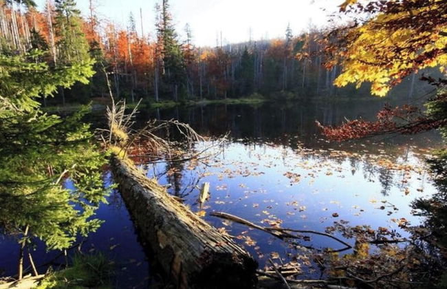 Mountain Apartment in Bad Kotzting - Foto 17