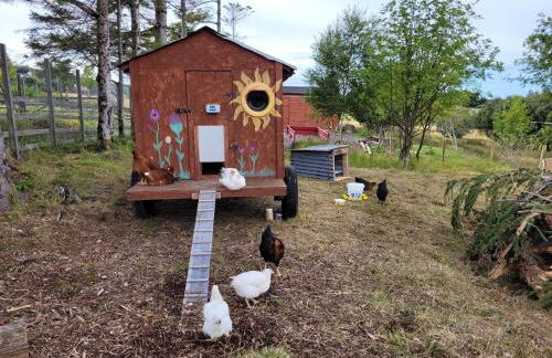 Sound of Durnamuck - Foto 114