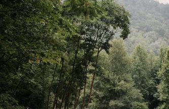 Tranquil Loft Retreat in Virginia Wine Country - Foto 26