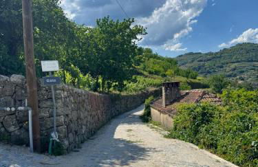 Quinta de São Pedro - Foto 61