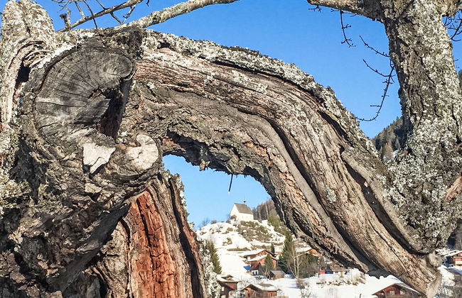 Aragon P36 - Foto 60