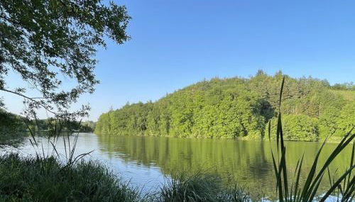 Ferienwohnung in Zaberfeld - Foto 3