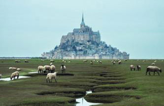Gîte proche du mont saint Michel - Foto 19
