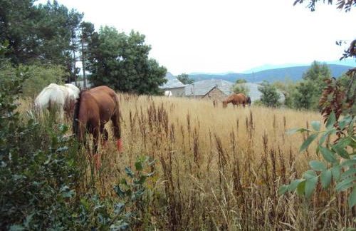 Casa de Lucas - Foto 15