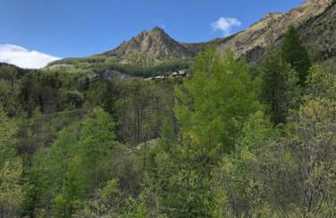 Le CHAL HEUREUX bel appartement dans vieille ferme de montagne rénovée - Foto 29