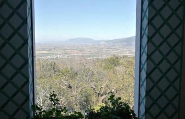 Casa Arezzola - Foto 3