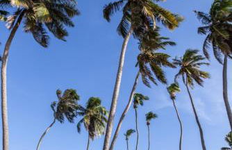 Go Eco Paradise Ap210 Pé na Areia e Piscina no Centro do Cumbuco - Photo 1