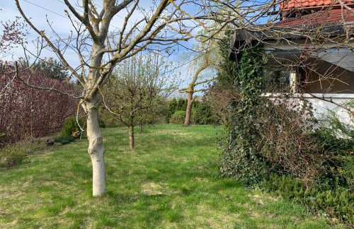 Dom z Ogrodem blisko Trójmiasta i Kaszub - Foto 6