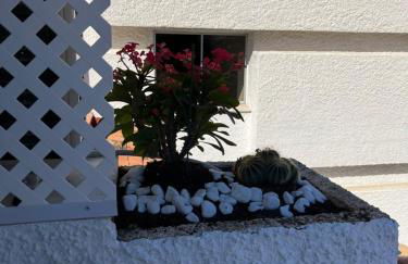 Jardines del Mar,Penthouse Elisabeth - Foto 20