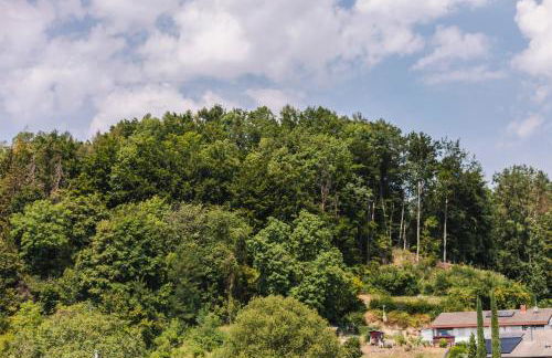 Die Sonne Nollingen - Foto 59