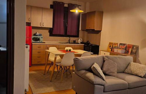 Διαμέρισμα παραποτάμια Νάουσα - Foto 13