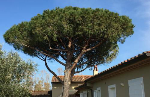 Relais Le Fornacelle - Foto 26