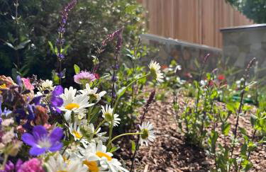 Arnica Alpin Lodge 1 - Foto 10