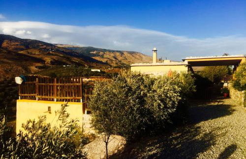 Secano de Paco - Foto 43