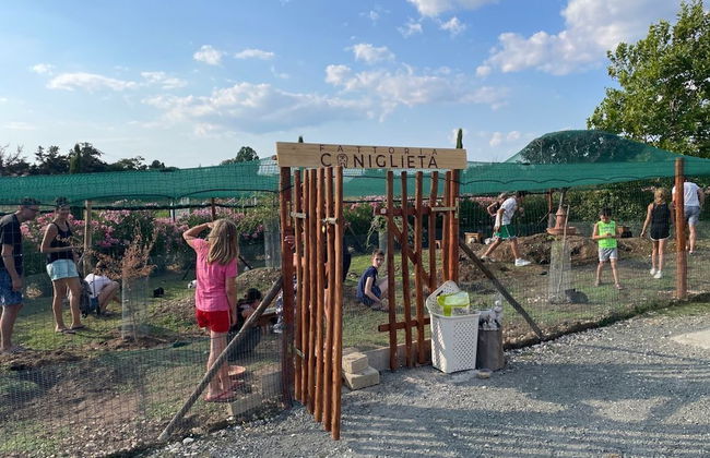 Fattoria Palazzeta Pet & Family Friendly - Foto 52