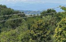 Piece of Heaven - Foto 20