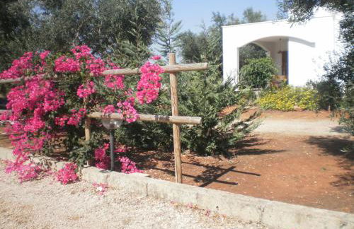 Tenuta Cazzato - Foto 11