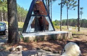 Chalé Araucárias Cambará do Sul - Foto 23