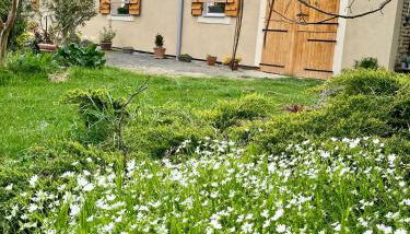 Gîte Ensemont - Photo 1, Garden, Garden view