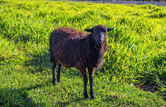 Almore Hotel - Foto 45