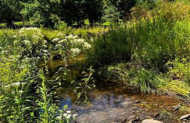 Sunday Hollow - Foto 48