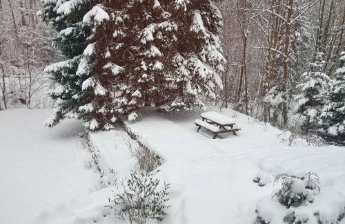 Apartamenty u Sikory - Foto 46