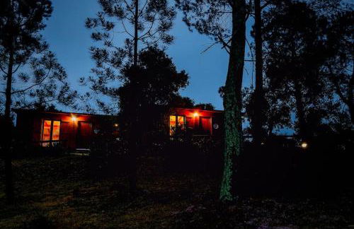 Arrabia Bunga Douro - Foto 20