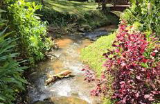 Chalé Mury - Foto 18