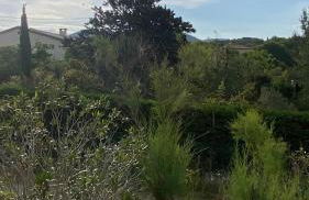 Vacances au cœur de la Provence, en famille ou entre amis - Foto 11