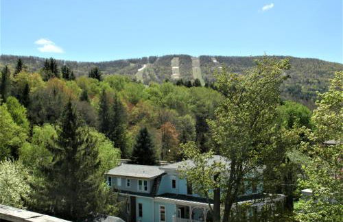 Townhouse W Private Deck & Mt View - Foto 71