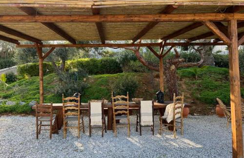 Thalia Bloom Villa Apartments - Foto 49