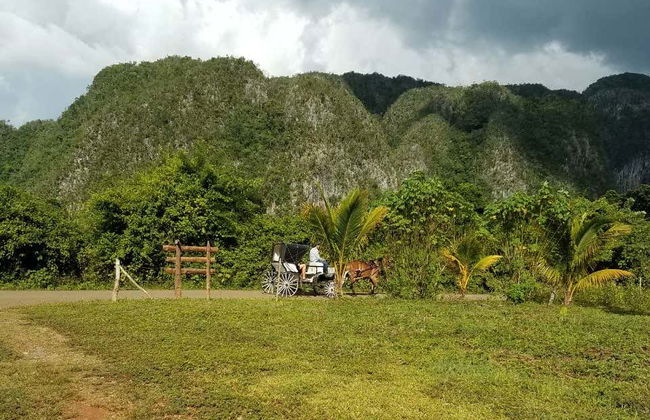 Viñales Valley Carriage Ride - Photo 1