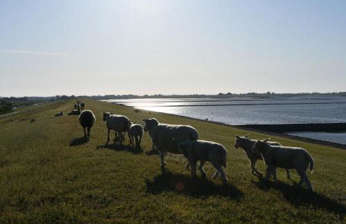 Ferienwohnung Deichblick - Nordseeurlaub in hochwertiger 140qm FeWo mit Garten im idyllischen Butjadingen - Foto 41