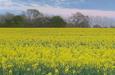 Noorhus - Kurzurlaub an der Ostsee - Foto 25