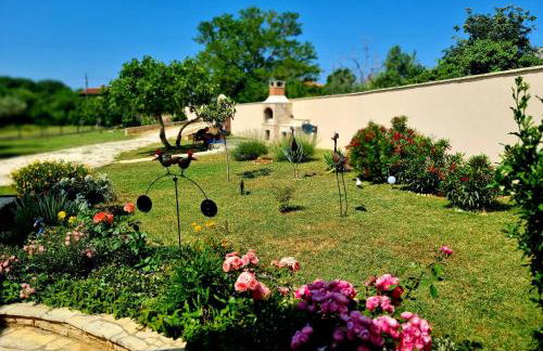 Apartman Boro - Foto 6