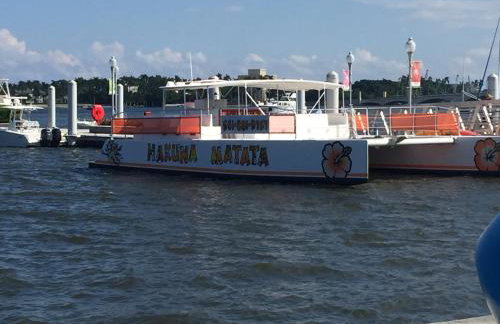 Palm Beach Mermaid - Foto 36