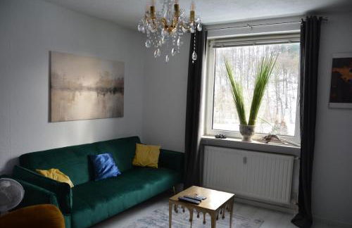 Appartement am Diemelsee Infrarotsauna inklusive - Foto 31