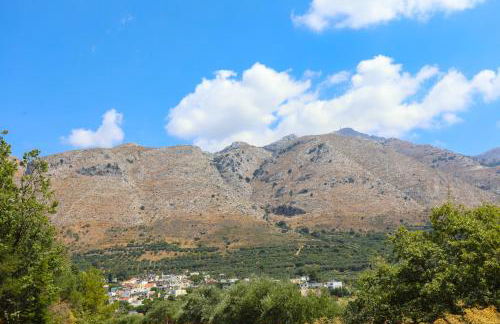 Kaldi's Traditional House - Photo 37