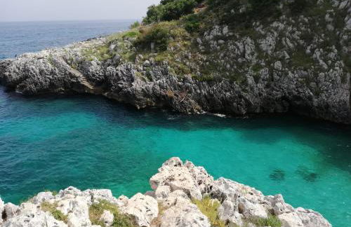 Limonaia in Salento - Foto 11