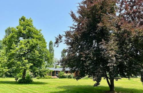 Il Faggio Rosso - Foto 7